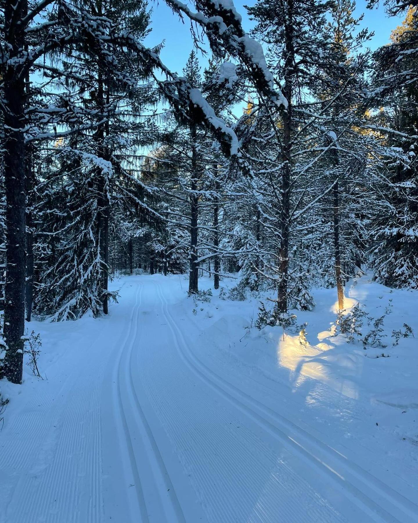 Bjorgebu Camping As Mysusæter 外观 照片